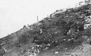 上甘岭心得体会300字7篇