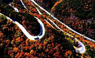 2024陕西高考作文7篇