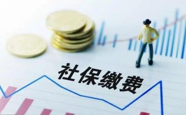 社保个人总结7篇