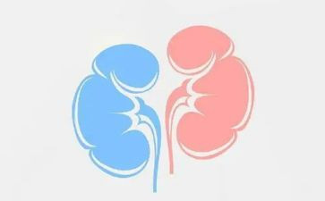 肾内科医生述职报告通用6篇