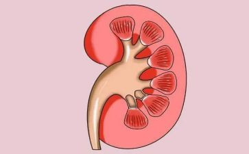 肾内科护士长述职报告6篇