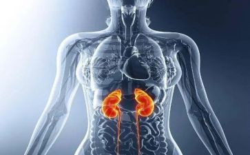 肾内科护士长述职报告参考6篇