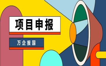二级申报工作总结6篇