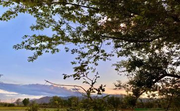 我身边的雷锋的作文7篇