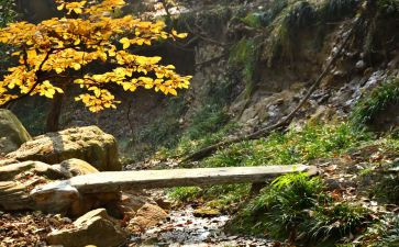 在记忆深处作文800字6篇