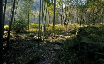 在记忆深处作文800字模板6篇