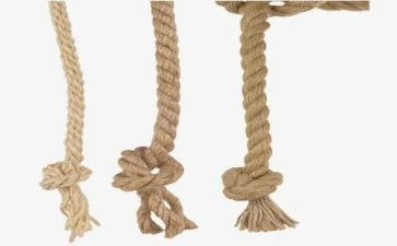 生活中的线和绳教案模板8篇