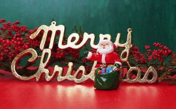 作文圣诞节600作文最新7篇