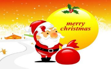 圣诞节作文800字作文参考5篇