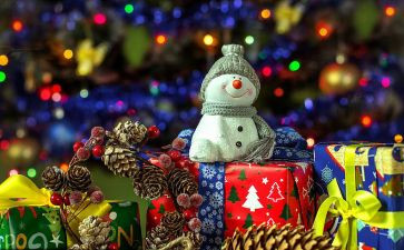 圣诞节作文800字作文模板8篇