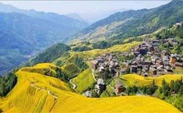 精彩的生活作文精选7篇