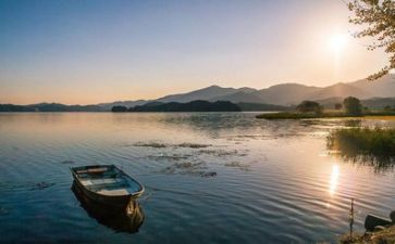 精彩的生活作文优质7篇