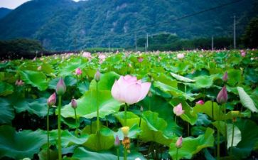 团生活演讲稿范文模板8篇