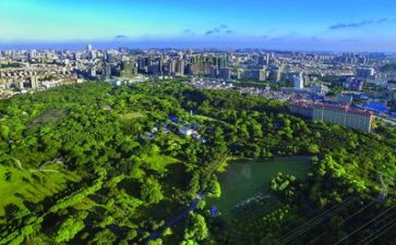 精彩生活作文通用5篇