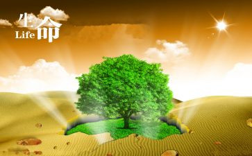 点燃生命作文7篇