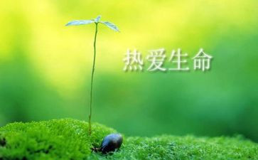 《生命生命》读后感优质5篇(《生命的绽放：《生命生命》读后感优质5篇》)