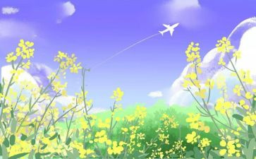 交通安全珍爱生命演讲稿7篇(珍爱生命，共筑交通安全)