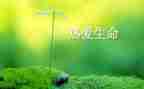 生命安全教育教案最新7篇