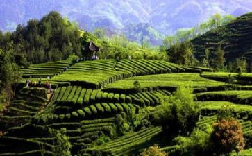 生态环保演讲稿范文5篇