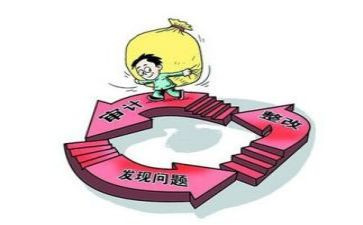对审计工作的心得体会参考5篇