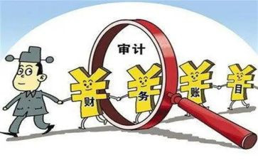 审计个人年度总结7篇