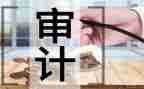 审计半年工作总结6篇