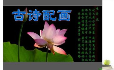 诗词比赛活动方案8篇(