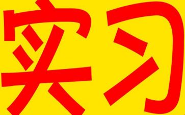 实习报告模板优秀6篇