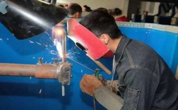 参加实训心得体会8篇