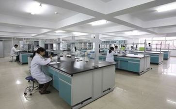 实验教师工作总结6篇