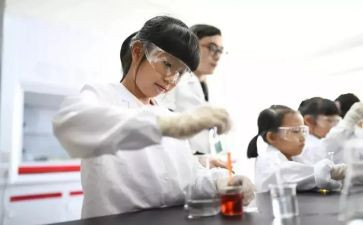 讲实验的作文精选5篇