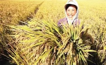 军训心得及收获7篇(军训心得：七篇收获)