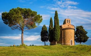 关于植树的演讲稿7篇