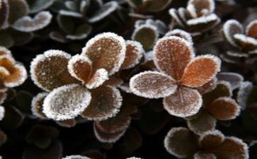 《饱经风霜的脸》作文7篇