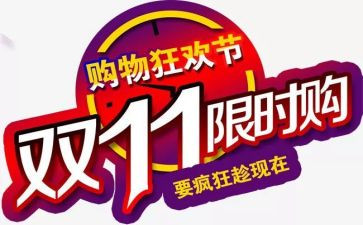 双11客服工作总结5篇