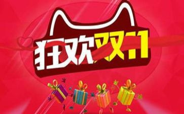 双11客服个人总结精选6篇