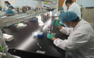 水化验工作总结优质6篇