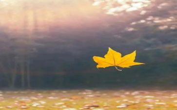 抒情主题作文7篇