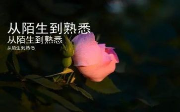 我最熟悉的人的作文优秀5篇(熟悉之美：五篇优秀作文)