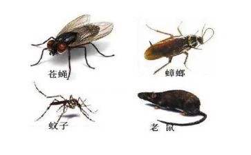 除四害工作总结参考6篇(四害工作总结：6篇文辑，助你更上一层楼)