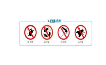 除四害工作总结7篇(四害除，健康来)