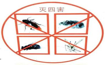 灭四害工作计划8篇