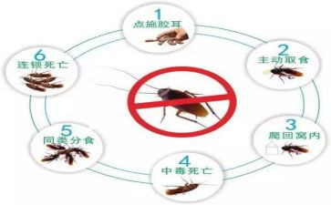 除四害工作计划及总结7篇(四害除，工计总：优化文辑，不超40字)
