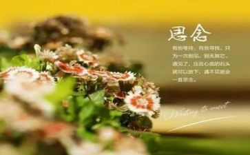 思念的作文推荐6篇(思念之情：6篇优秀作文推荐)