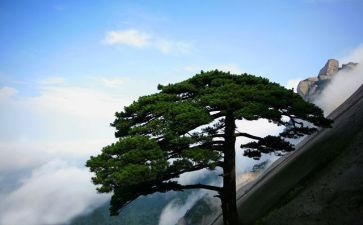 松鼠鼠的作文通用5篇