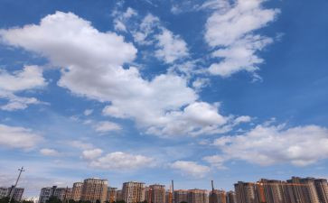 书,我的一片天空作文参考5篇