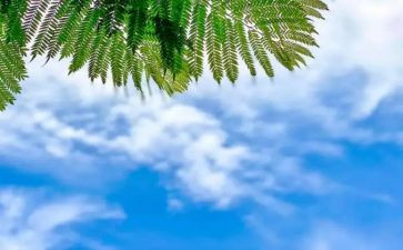 天气的教案最新8篇(天气教案精选：8篇最新指南)