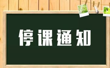 被停课的心得优质7篇