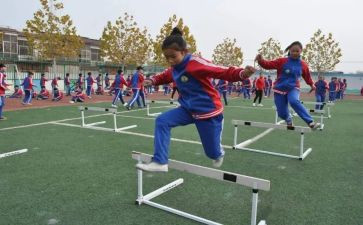 初中体育活动方案8篇