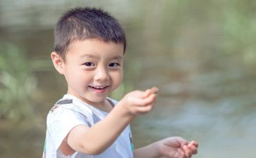 小王子读书感悟优质5篇(小王子的智慧之旅：五篇优质读书感悟)